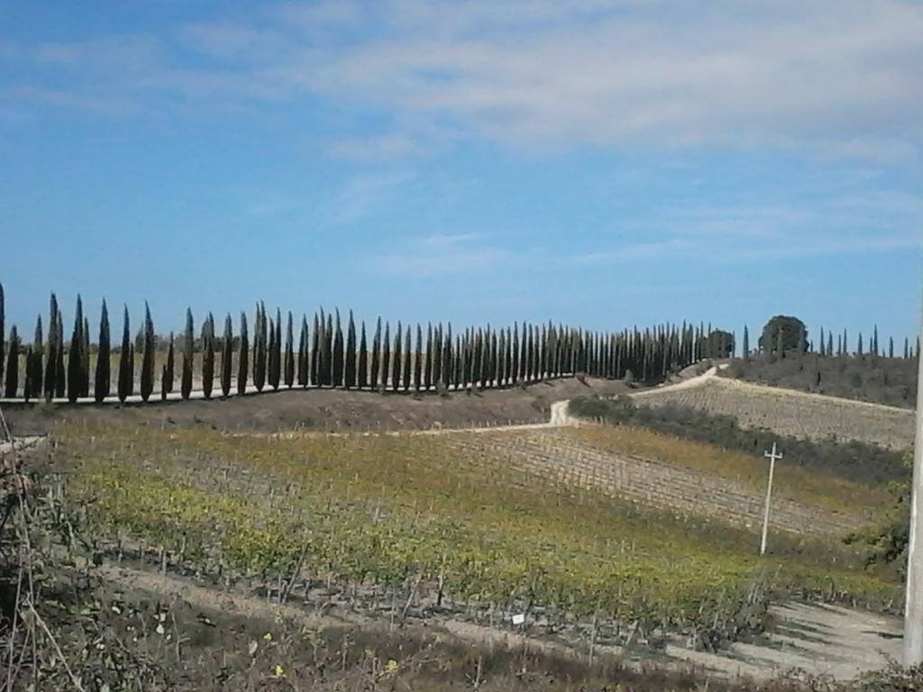 Hotel Cisterna Nel Borgo Castiglione dʼOrcia Exteriér fotografie